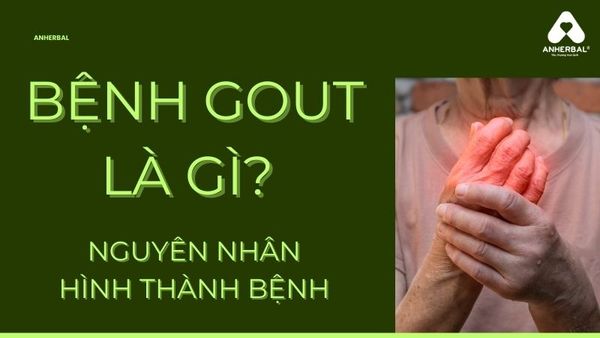 bệnh gout là gì? nguyên nhân hình thành bệnh