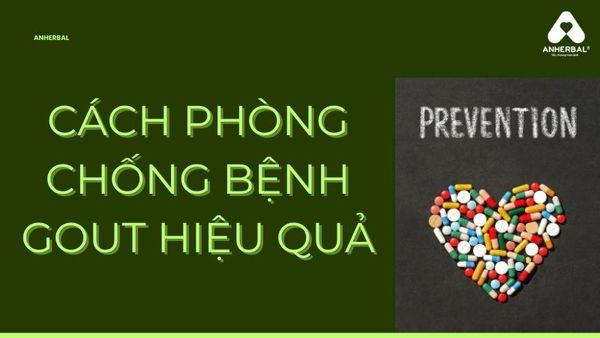 cách phòng chống bệnh gout hiệu quả