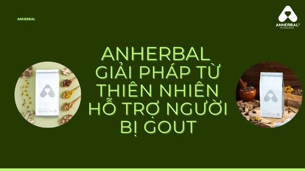 anherbal giải pháp thiên nhiên hỗ trợ người bị gout