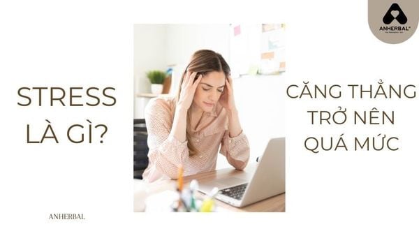 stress là gì? khi nào căng thẳng trở nên quá mức
