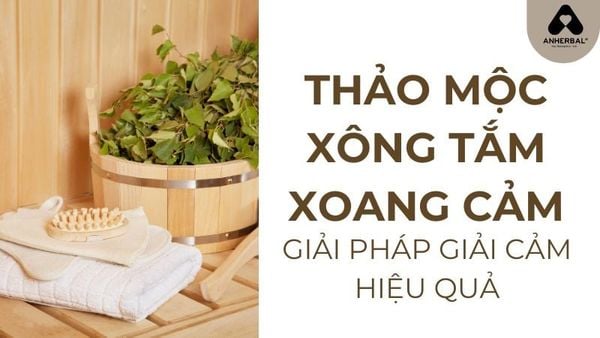 thảo mộc xông tắm xoang cảm ANHERBAL