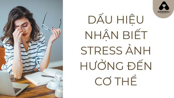 dấu hiệu stress ảnh hưởng đến cơ thể