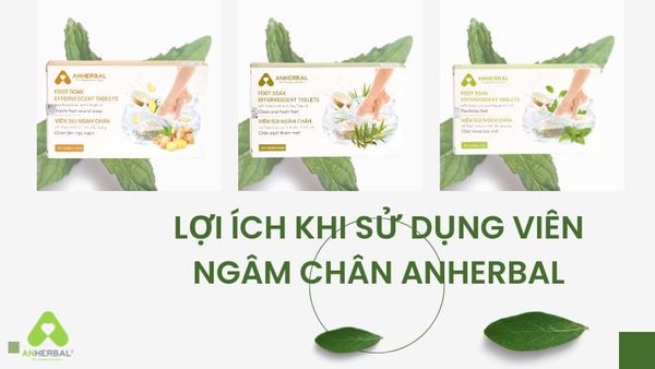 lợi ích của viên sủi ngâm chân ANHERBAL