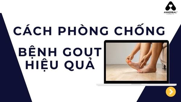 cách phòng chống bệnh gout hiệu quả