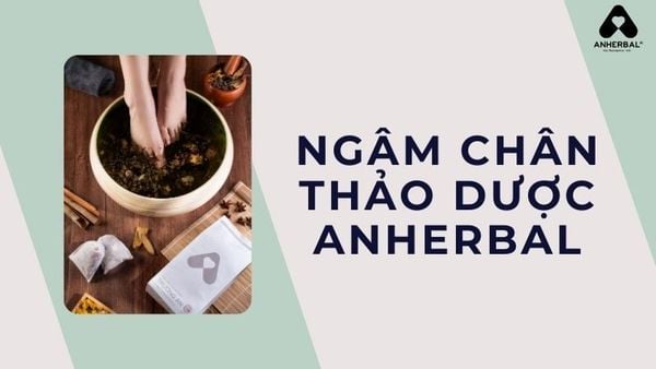 ngâm chân thảo dược ANHERBAL