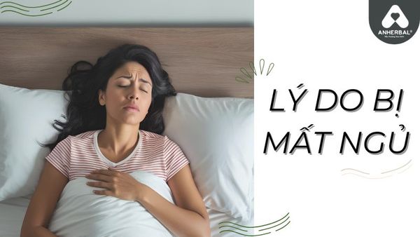lý do bị mất ngủ