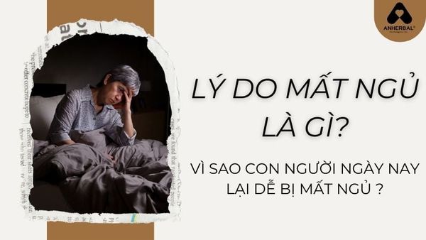 lý do mất ngủ là gì?