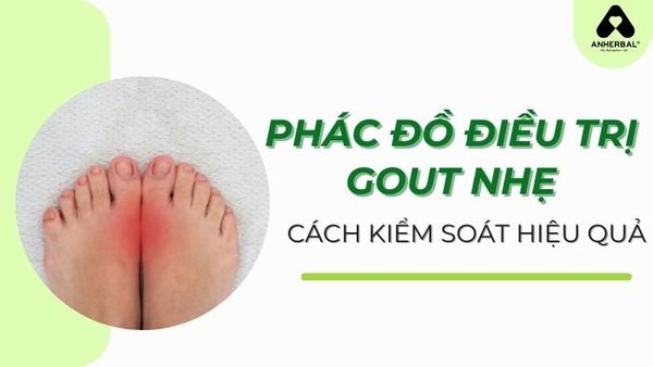phác đồ điều trị gout nhẹ