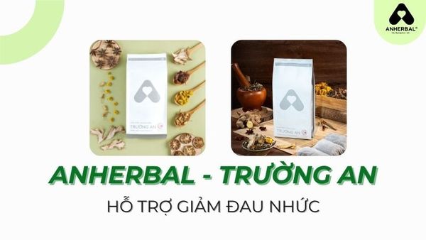 anherbal trường an hỗ trợ điều trị gout
