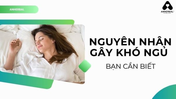 nguyên nhân gây khó ngủ