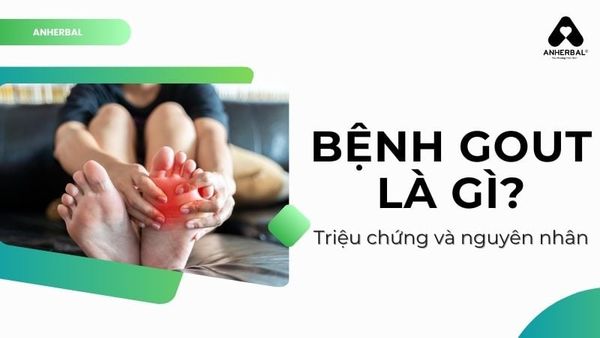 bệnh gout là gì?