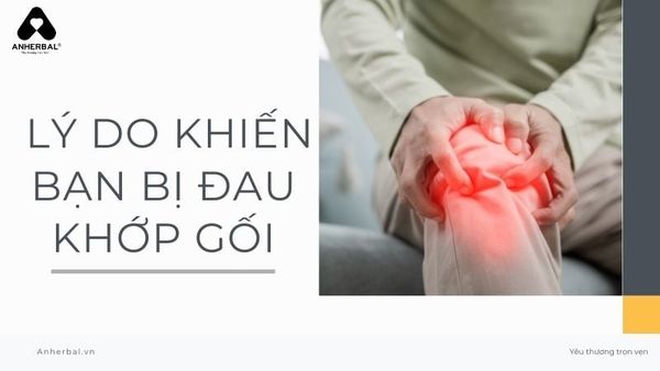 lý do khiến bạn bị đau khớp gối?