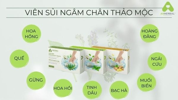 Viên sủi ngâm chân ANHERBAL