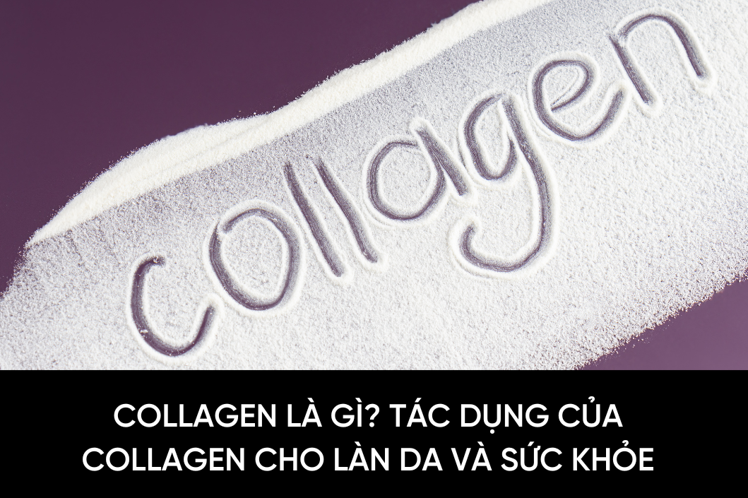 Collagen là gì? Tác dụng của Collagen cho làn da và sức khỏe