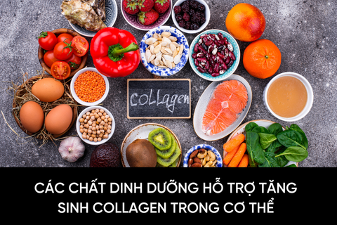 Các chất dinh dưỡng hỗ trợ tăng sinh Collagen trong cơ thể