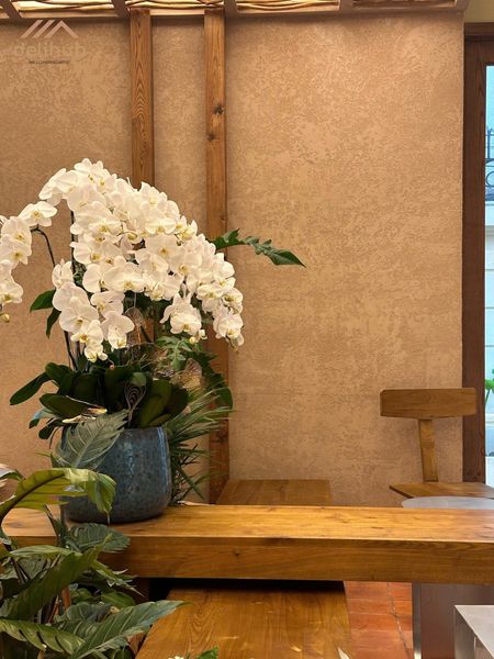 Bề mặt tường được phủ sơn hiệu ứng như một “chữ ký thẩm mỹ” riêng, giúp chuỗi thương hiệu ghi dấu ấn nhất quán và nổi bật trong thiết kế nội thất