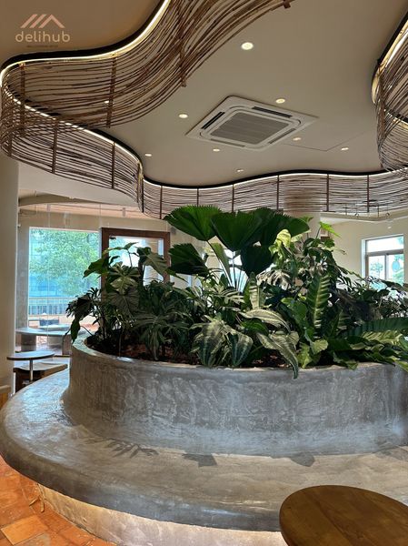 Bề mặt tường được phủ sơn hiệu ứng như một “chữ ký thẩm mỹ” riêng, giúp chuỗi thương hiệu ghi dấu ấn nhất quán và nổi bật trong thiết kế nội thất