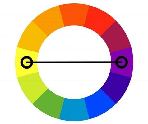 vòng tròn thuần sắc với hai màu tím và vàng được dùng để hòa sắc