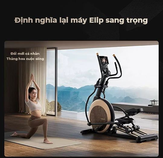 Xe Tập Toàn Thân Cao Cấp Xenjoy XE5