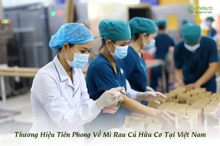 Anpaso - Thương Hiệu Tiên Phong Về Mì Rau Củ Hữu Cơ Tại Việt Nam