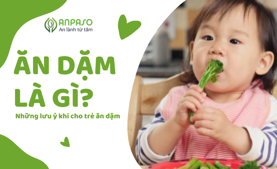 Ăn dặm là gì? Những lưu ý khi cho trẻ ăn dặm