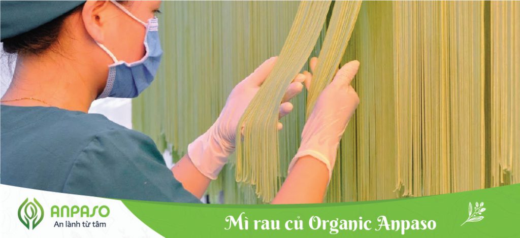 TẠI SAO NÊN CHỌN MÌ RAU CỦ ORGANIC ANPASO