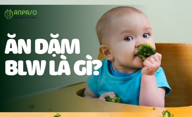 ĂN DẶM BLW LÀ GÌ? THỰC ĐƠN ĂN DẶM BLW THEO TỪNG GIAI ĐOẠN