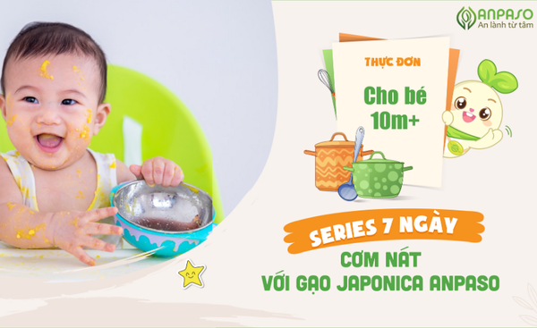 7 NGÀY NẤU CƠM NÁT CHO BÉ ĂN DẶM BẰNG GẠO JAPONICA ANPASO (10M+)