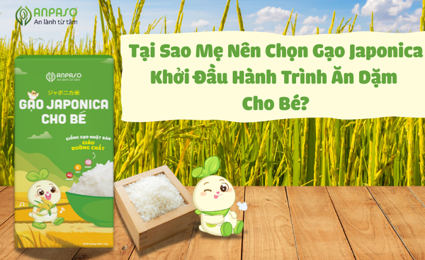 TẠI SAO MẸ NÊN CHỌN GẠO JAPONICA KHỞI ĐẦU HÀNH TRÌNH ĂN DẶM CHO BÉ?