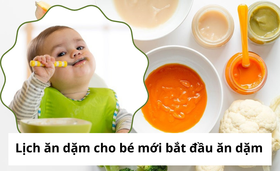 Lịch ăn dặm cho bé mới bắt đầu ăn dặm