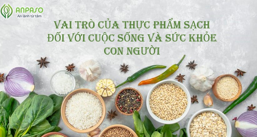 Thực phẩm sạch là gì? Vai trò của Thực phẩm sạch đối với sức khỏe