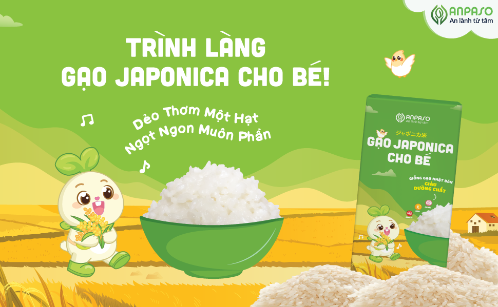 GẠO CHO BÉ ĂN DẶM - GẠO JAPONICA ANPASO CÓ GÌ HOT?