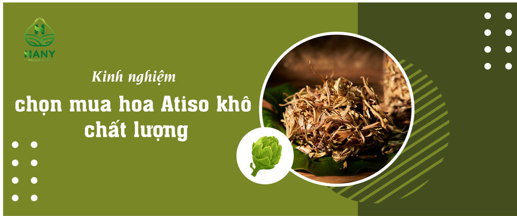 Kinh nghiệm chọn mua hoa Atiso khô chất lượng