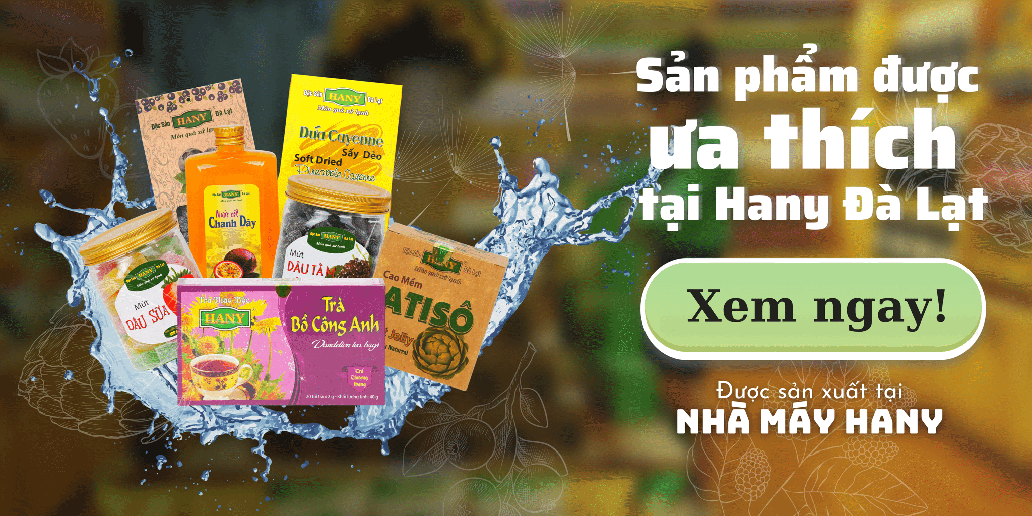 Sản phẩm được ưa thích tại HANY