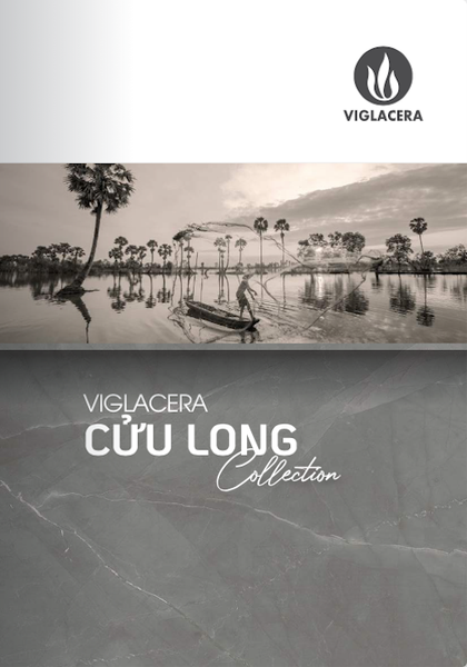 ducvietceramic Cửu Long Viglacera