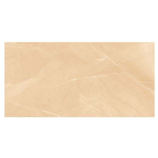 //file.hstatic.net/200000619551/file/gach-op-lat-viglacera-cl-gp4806-f4_grande.jpg