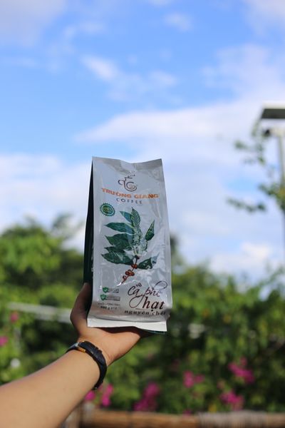 Đặc điểm cà phê Arabica là gì?