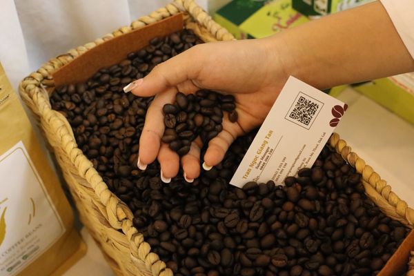 Bật mí một số cách rang xay cà phê bằng máy ngon