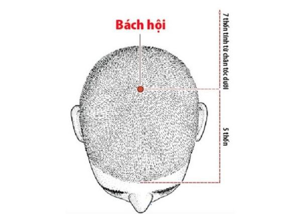 huyet-bach-hoi