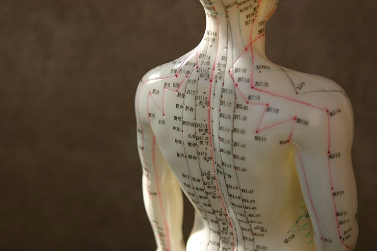 hệ thống kinh mạch trong cơ thể người