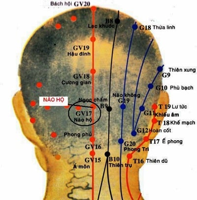huyệt não bộ vùng đầu