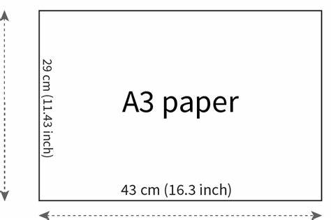 Kích thước khổ giấy A3 là bao nhiêu? Gấp bao nhiêu lần khổ giấy A4?