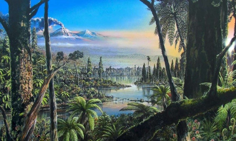 LÁ RỪNG KỂ CHUYỆN NGÀN NĂM VÀ CUỘC HÀNH TRÌNH TRỞ VỀ NHÀ