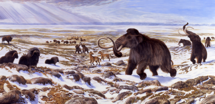 ielts essay on animal extinction