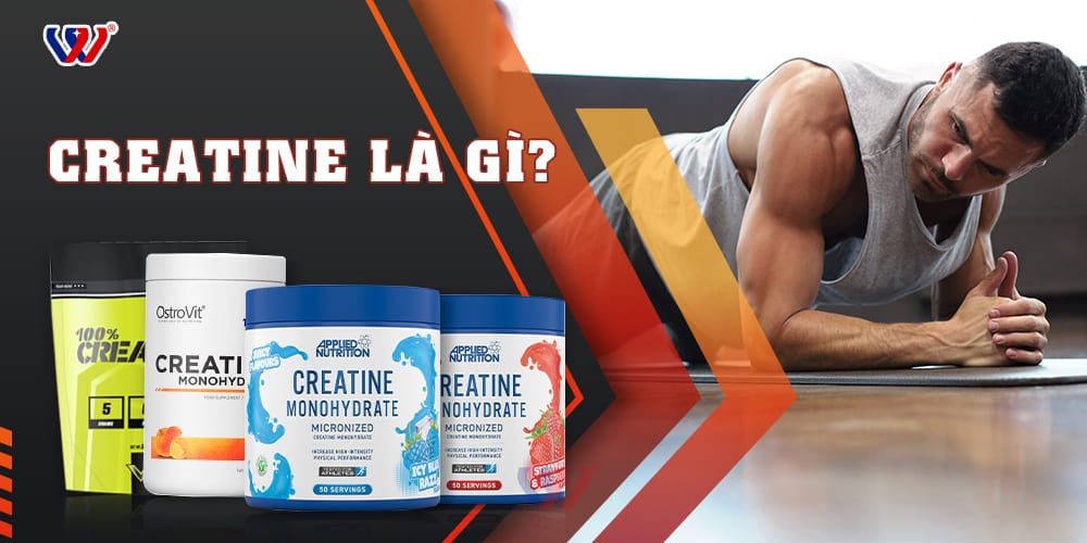 Creatine là gì? Tác dụng và cách dùng creatine hiệu quả