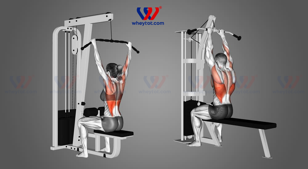 Lat Pulldown là gì? Cách tập Lat Pulldown phát triển cơ xô lưng săn chắc