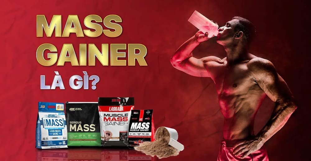 Mass gainer là gì? Cách pha sữa mass thơm ngon, đúng cách