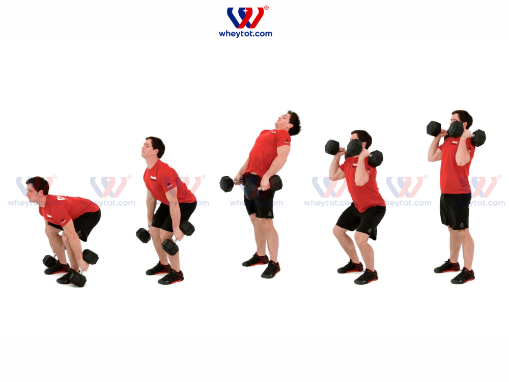 Bài tập cử tạ với tạ tay (Dumbbell Clean)