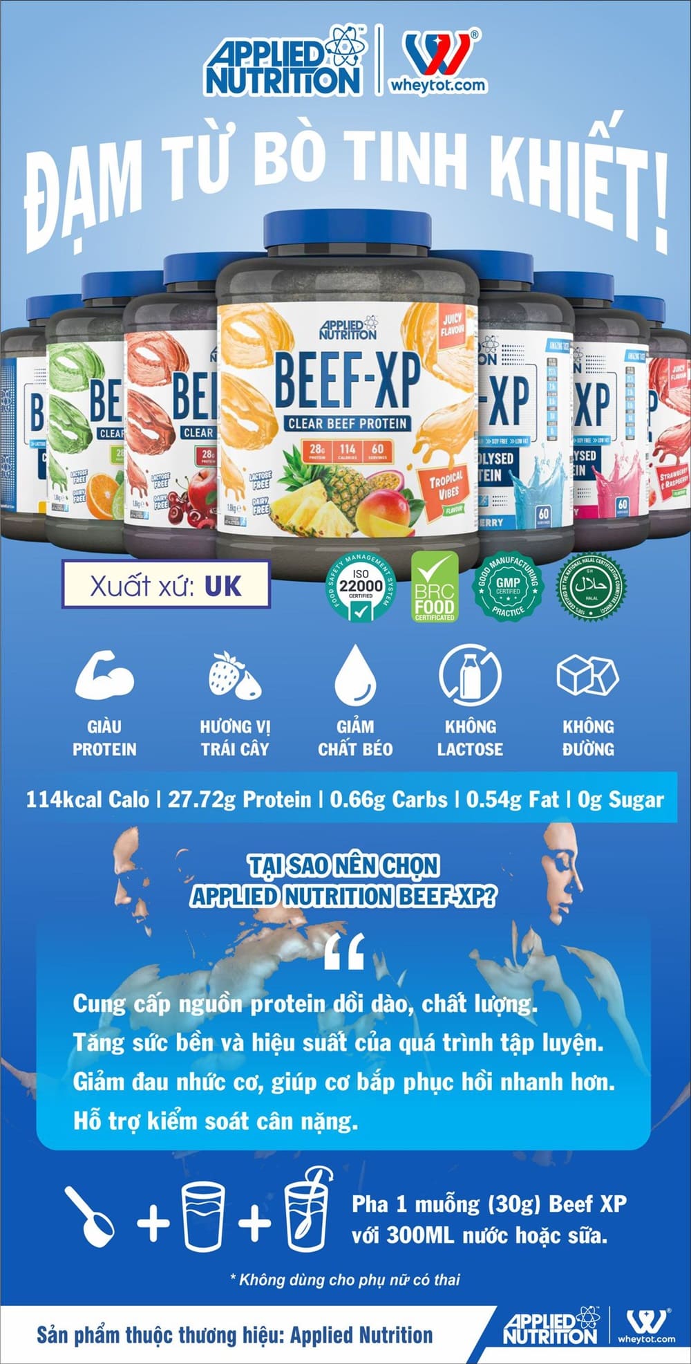Applied Nutrition Beef XP