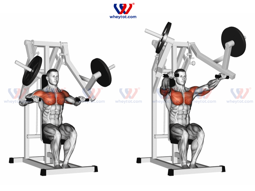 Bài tập Machine Bench Press (đẩy ngực với máy)